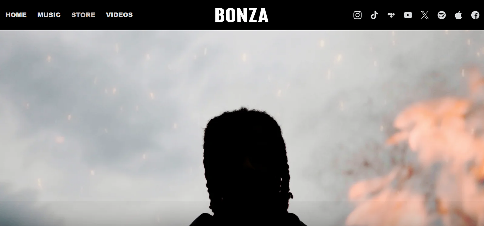 bonza-website