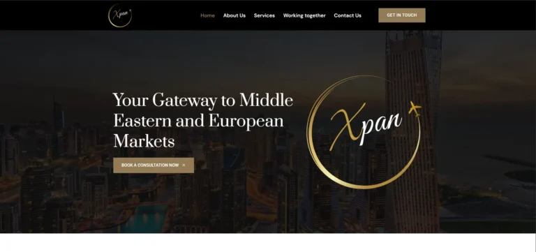 International Business Consulting Website