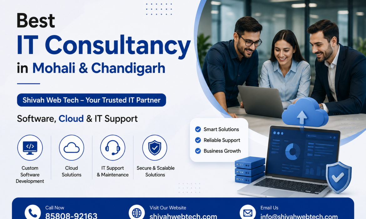 Best IT Consultancy in Mohali & Chandigarh
