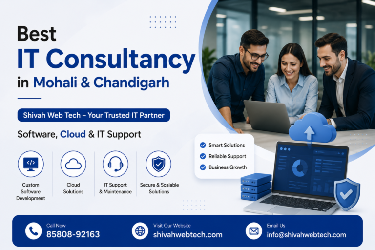 Best IT Consultancy in Mohali & Chandigarh