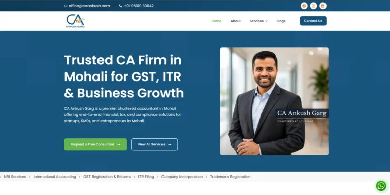 Chartered Accountant & Business Consultancy Website